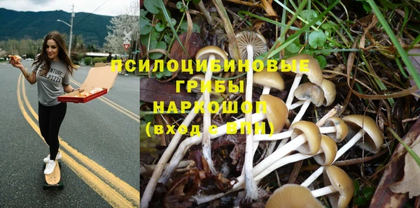 дурь Арсеньев