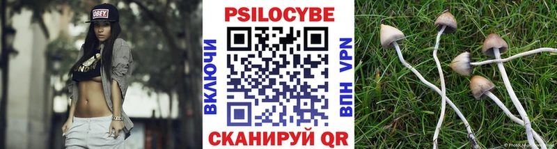 Галлюциногенные грибы MAGIC MUSHROOMS  цены   Приозерск 